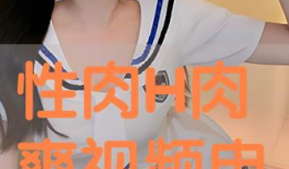 性爽视频,揭秘视觉盛宴背后的故事