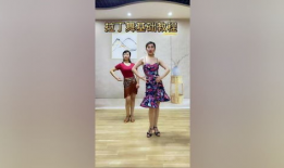 拉丁舞初级教学视频,轻松入门，舞动魅力